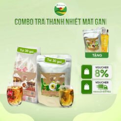 Combo Trà Thanh Nhiệt Gồm 60 Gói Trà Gạo Lứt đậu đen Và Trà Cà Gai Leo Túi Lọc Tea