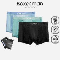 Combo 3 Quần Sịp Tam Giác Slip Thun Lạnh Cao Cấp Boxerman Menswear Quần Boxer Quần Lót (sao Chép)