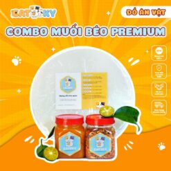 Combo BÁnh TrÁng ChẤm SỐt MuỐi BÉo Phiên Bản Premium Bánh Tráng Siêu Gạo Topping Thơm Ngon Đậm Vị [ĐỒ Ăn VẶt Snacks] Food