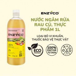 Nước Ngâm Rửa Rau Củ Quả Sinh Học Chai 1l