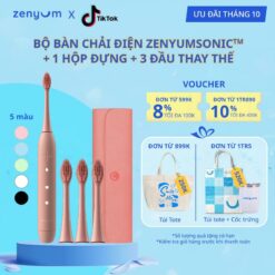 Bộ Bàn Chải Điện Zenyum Sonic Phiên Bản Du Lịch Tiêu Chuẩn 1 Bàn Chải + 1 Hộp Đựng + 3 Đầu Thay Bản Chải Tiêu Chuẩn