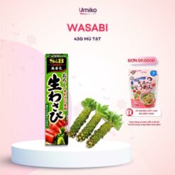 Mù Tạt Tươi S&b Wasabi Nhật Bản Tuýp 43g Cay